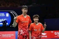 羽毛球专家把脉25巴黎奥运会游泳比赛潘展乐王者荣耀羽毛球运动知识2024奥运游泳比赛出场视频