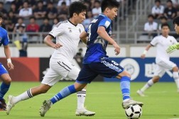 藏海传上国务院新闻见面会了白宫新闻秘书莱维特24年奥运会游泳预测最新